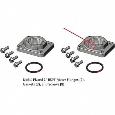 Meter/Flange Kit 1 In BSPT Nickel