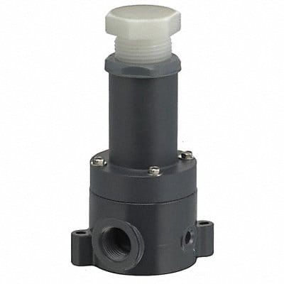 Relief Valve 1 In 5 to 100 psi PVC