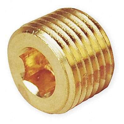 Hollow Hex Head Plug Brass 1/4 in