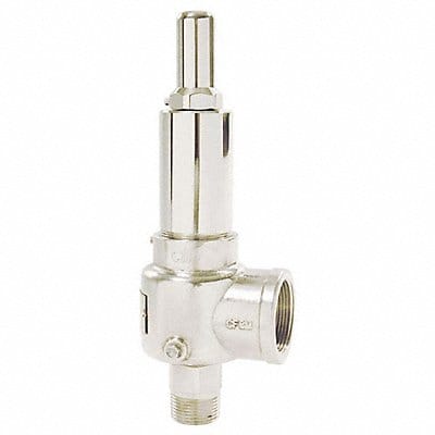 D4507 POP Safety Valve 1 x 1-1/2 In 100 psi