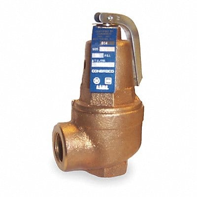 Safety Relief Valve 1 In 50 psi Bronze