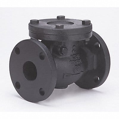 Swing Check Valve 13 in Overall L