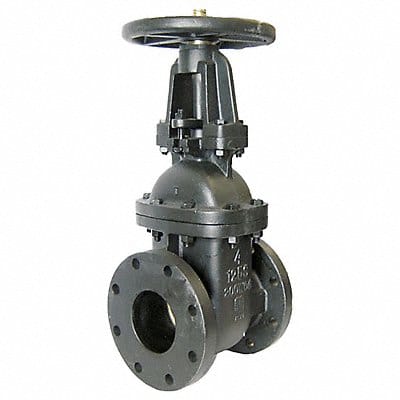 Gate Valve Class 125 2 in Flange