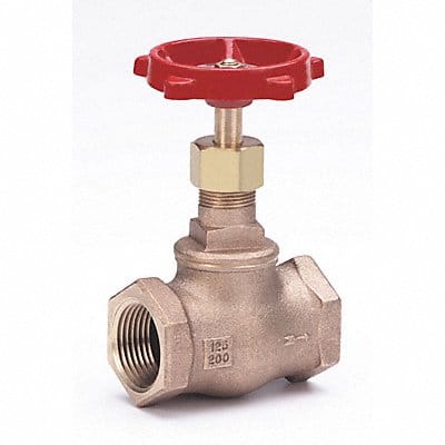 Globe Valve 1 Bronze FNPT 200 psi