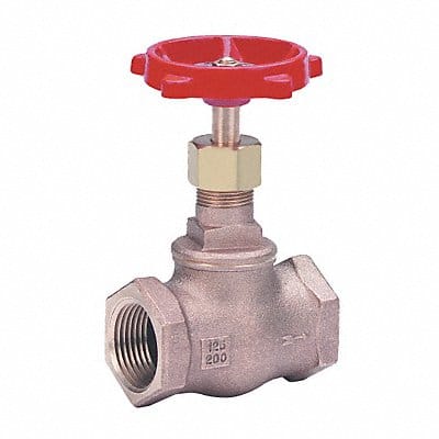 Globe Valve 3 Bronze FNPT 200 psi