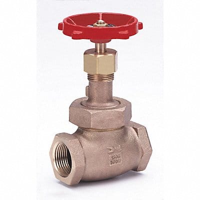 Globe Valve 1 Bronze FNPT 300 psi