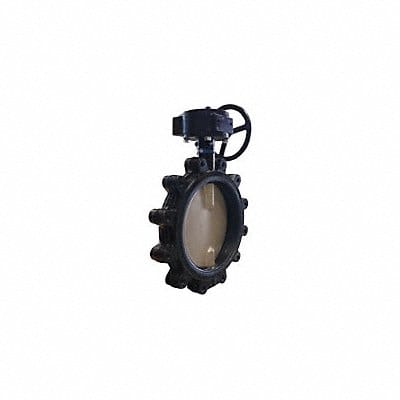 Butterfly Valve Lug 8 In CI Viton Gear