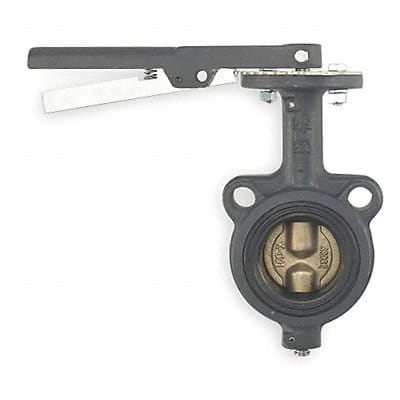 Butterfly Valve Wafer 2 In Viton Liner