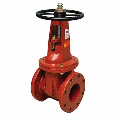 Gate Valve Class 250 2-1/2 In.