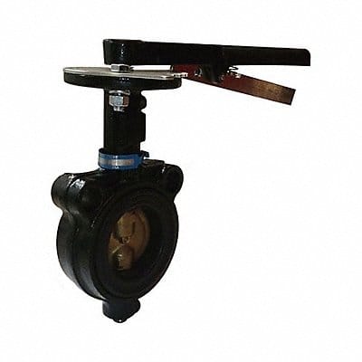 Butterfly Valve Wafer 2 1/2 In CI Lever