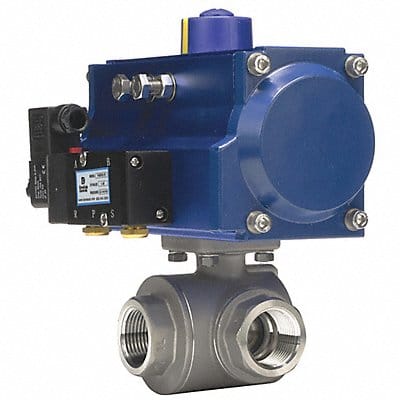 Ball Valve 1 In NPT Double Acting SS