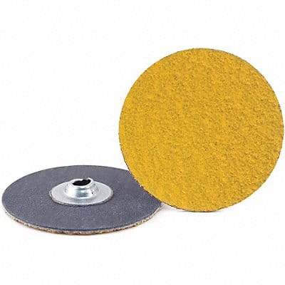 Quick-Change Sand Disc 2 in Dia TS PK100