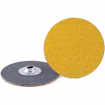 Quick-Change Sand Disc 2 in Dia TS PK100