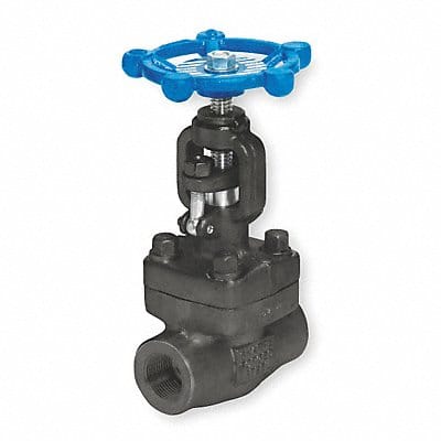 Globe Valve 1/4 Steel FNPT 1975 psi