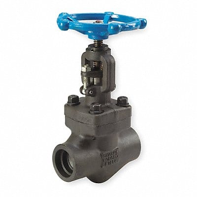 Globe Valve 2 Steel Socket 1975 psi