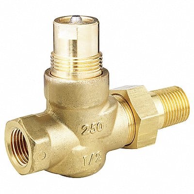 Control Valve Globe 1/2 in NPT