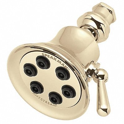 Shower Head Trumpet 2.5 gpm