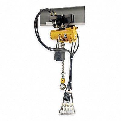 Air Chain Hoist 2200 lb Cap. 10 ft Lft