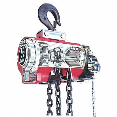 Air Chain Hoist 1100 lb Cap. 10 ft Lft