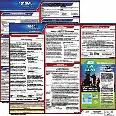 Labor Law Poster Kit OR Spanish 19 in W