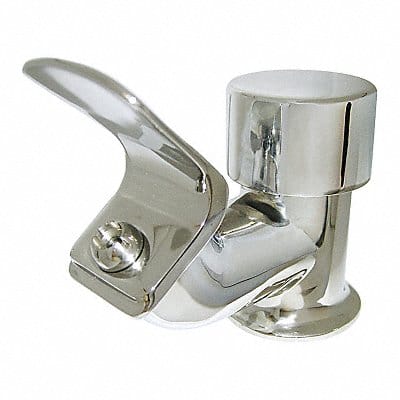 Drinking Fountain Head Silver