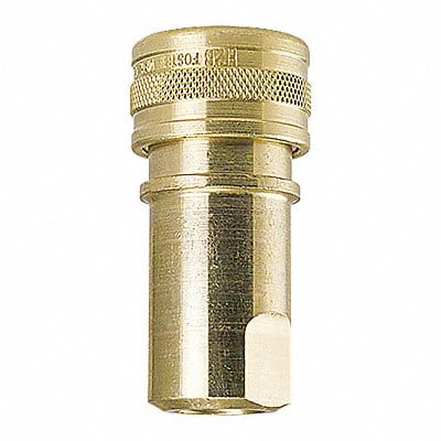 Socket Brass w/Viton Seal 3/8