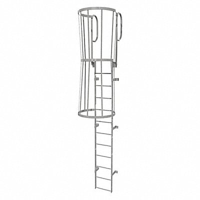 Fixed Ladder w/ Safety Cage Steel 11 ft.