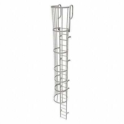 Fixed Ladder w/ Safety Cage Steel 21 ft.