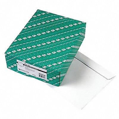 Catalog Envelopes 13 H 10 W PK100