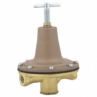 Pressure Regulator 1/4 in 0 to 50 psi