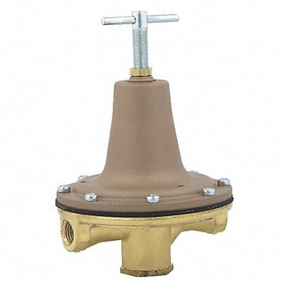 Pressure Regulator 3/8 in 0 to 50 psi