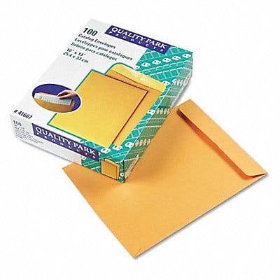 Catalog Envelopes 10 H 13 W PK100