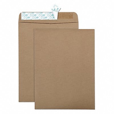 Catalog Envelopes 9 H 12 W PK100