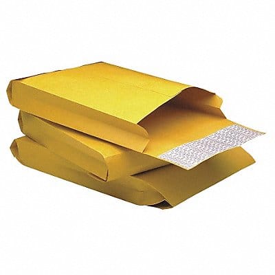 Expandable Envelope #10-1/2 PK25