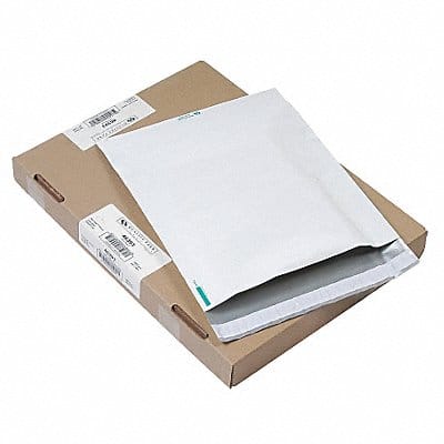 Expandable Envelope #5-1/4 PK100