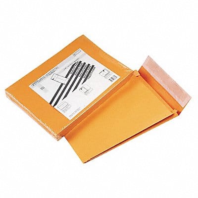 Expandable Envelope #13-1/2 PK25