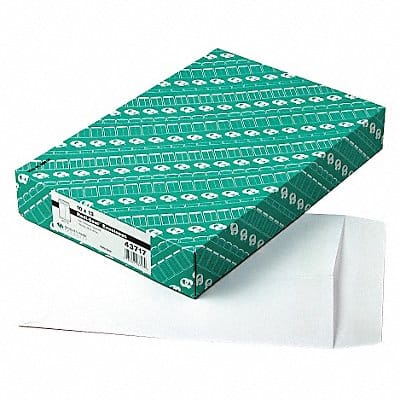 Catalog Envelopes 10 H 13 W PK100