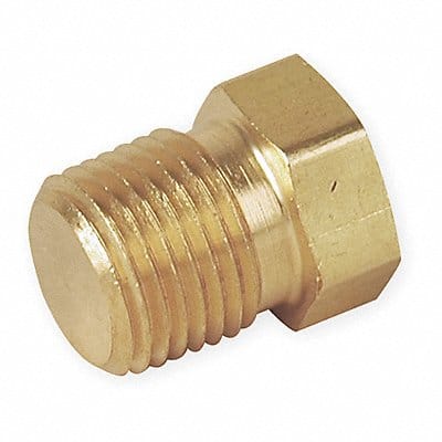 Hex Head Plug Bright Brass 3/4 in