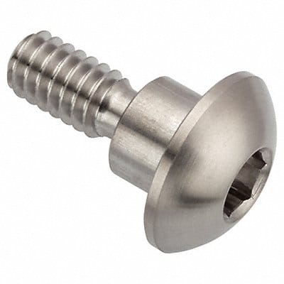 Architect Bolt 18-8SS 1/4 -20 1/2 L