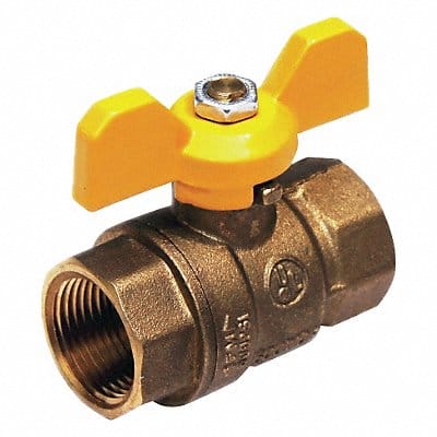 Ball Valve T-Handle FNPT 1/2 in