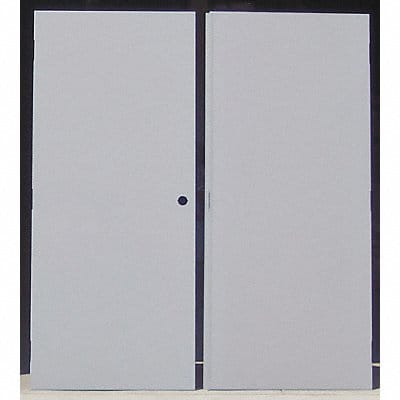 Flush Double Door Type ST Steel PK2