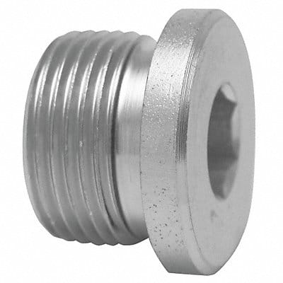 Hollow Hex Head Plug 316L SS 1/4 in