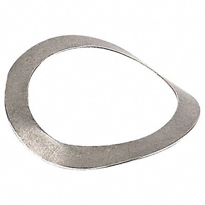 Disc Spring Curved 0.164 301 SS PK10