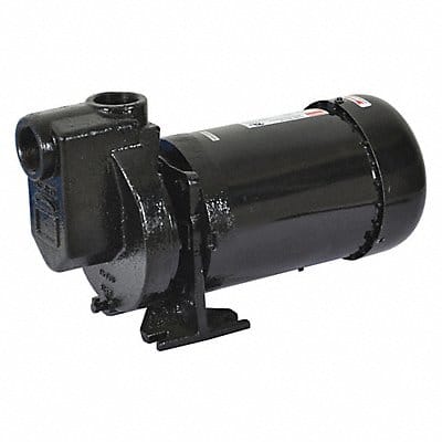 Self Priming Pump 3/4 HP Cast Iron