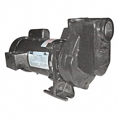 Self Priming Pump 1 HP Cast Iron