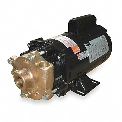 Pump 1 HP 1 Ph 115/230VAC