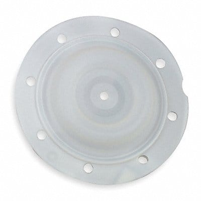 Replacement Diaphragm PTFE For 2CAP5