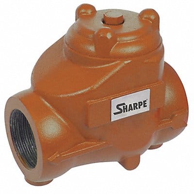 Oil Patch Swing Check Valve