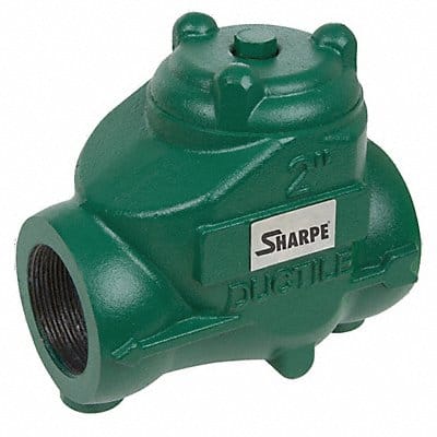 Oil Patch Swing Check Valve