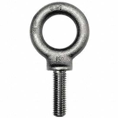 Machinery Eye Bolt Shank D 42 mm